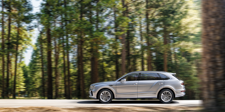 Bentley Monaco Bentley Bentayga Extended Wheelbase SUV in Moonbeam paint driving dynamically on a forest road